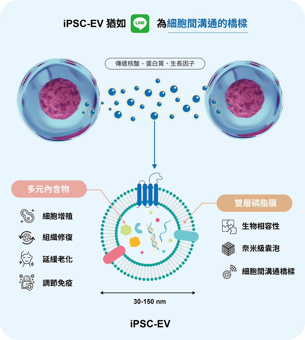 iPSC外泌體(iPSC-EV)為奈米級囊泡更好吸收，富含細胞再生與組織修復、抗氧化因子